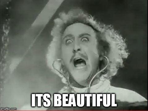 Young Frankenstein | ITS BEAUTIFUL | image tagged in young frankenstein | made w/ Imgflip meme maker