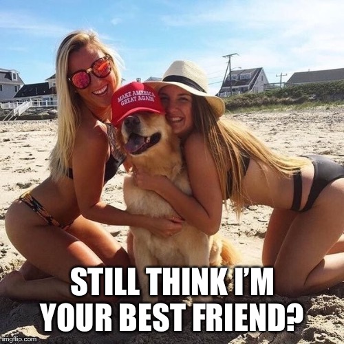 STILL THINK I’M YOUR BEST FRIEND? | made w/ Imgflip meme maker