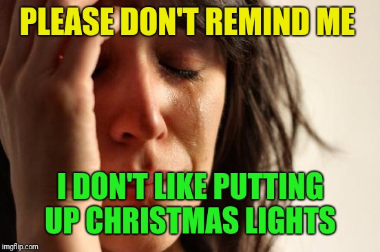 First World Problems Meme | PLEASE DON'T REMIND ME I DON'T LIKE PUTTING UP CHRISTMAS LIGHTS | image tagged in memes,first world problems | made w/ Imgflip meme maker
