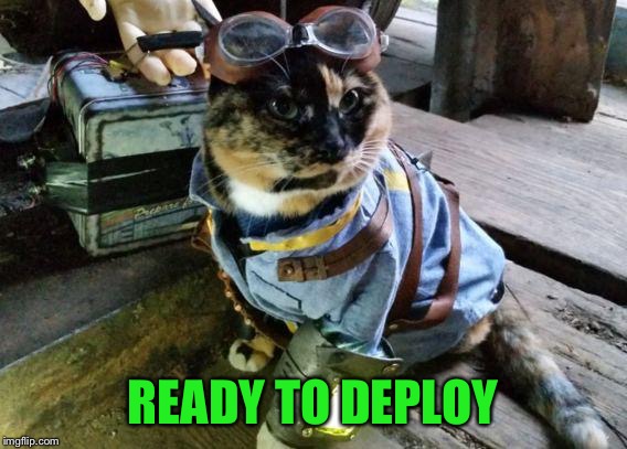 Fallout RayCat | READY TO DEPLOY | image tagged in fallout raycat | made w/ Imgflip meme maker