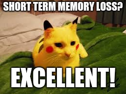 Lazy PikaCat | SHORT TERM MEMORY LOSS? EXCELLENT! | image tagged in lazy pikacat | made w/ Imgflip meme maker