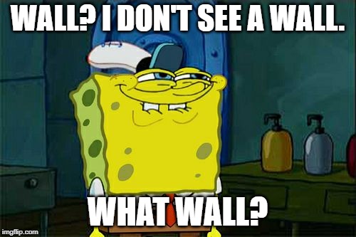 Don't You Squidward Meme | WALL? I DON'T SEE A WALL. WHAT WALL? | image tagged in memes,dont you squidward | made w/ Imgflip meme maker
