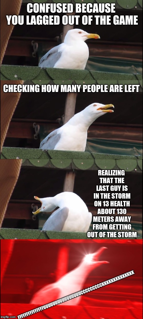 Inhaling Seagull Meme | CONFUSED BECAUSE YOU LAGGED OUT OF THE GAME; CHECKING HOW MANY PEOPLE ARE LEFT; REALIZING THAT THE LAST GUY IS IN THE STORM ON 13 HEALTH ABOUT 130 METERS AWAY FROM GETTING OUT OF THE STORM; FFFFFFFFFFFFFFFUUUUUUUUUUUUUUUUCCCCCCCCCKKKKKKKKKKKKKK | image tagged in memes,inhaling seagull | made w/ Imgflip meme maker