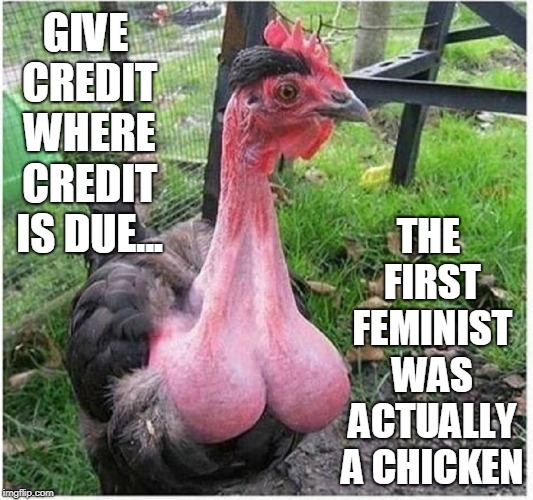 Don't Call Me Henrietta! | GIVE CREDIT WHERE CREDIT IS DUE... THE FIRST FEMINIST WAS ACTUALLY A CHICKEN | image tagged in vince vance,feminism,feminist,chicken,balls,why did the chicken cross the road | made w/ Imgflip meme maker