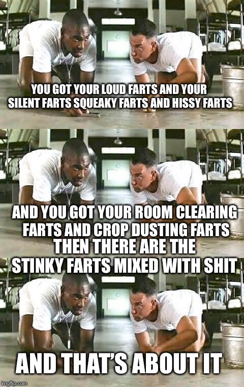 YOU GOT YOUR LOUD FARTS AND YOUR SILENT FARTS SQUEAKY FARTS AND HISSY FARTS THEN THERE ARE THE STINKY FARTS MIXED WITH SHIT AND YOU GOT YOUR | made w/ Imgflip meme maker