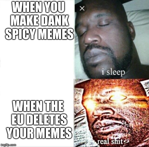 Sleeping Shaq Meme | WHEN YOU MAKE DANK SPICY MEMES; WHEN THE EU DELETES YOUR MEMES | image tagged in memes,sleeping shaq | made w/ Imgflip meme maker