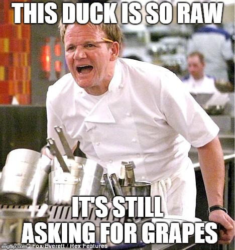 Chef Gordon Ramsay | THIS DUCK IS SO RAW; IT'S STILL ASKING FOR GRAPES | image tagged in memes,chef gordon ramsay | made w/ Imgflip meme maker