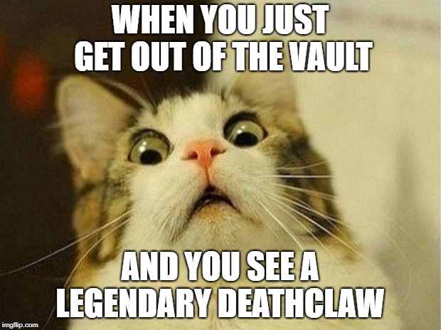 Scared Cat | WHEN YOU JUST GET OUT OF THE VAULT; AND YOU SEE A LEGENDARY DEATHCLAW | image tagged in memes,scared cat | made w/ Imgflip meme maker