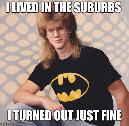 I LIVED IN THE SUBURBS I TURNED OUT JUST FINE | made w/ Imgflip meme maker