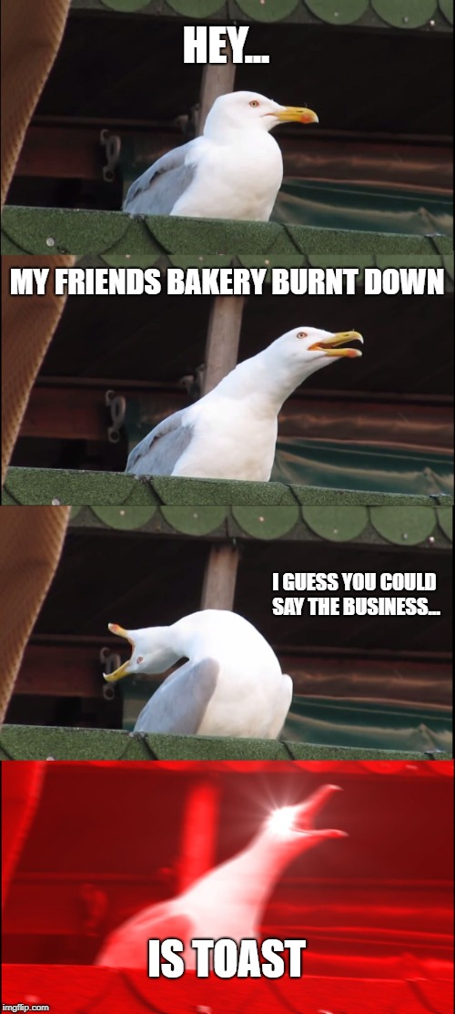 Inhaling Seagull | HEY... MY FRIENDS BAKERY BURNT DOWN; I GUESS YOU COULD SAY THE BUSINESS... IS TOAST | image tagged in memes,inhaling seagull | made w/ Imgflip meme maker