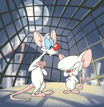 High Quality Pinky and the Brain Blank Meme Template