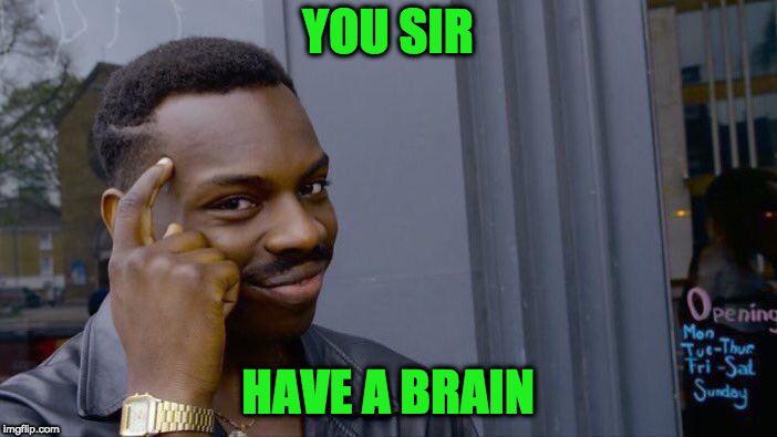 Roll Safe Think About It Meme | YOU SIR HAVE A BRAIN | image tagged in memes,roll safe think about it | made w/ Imgflip meme maker