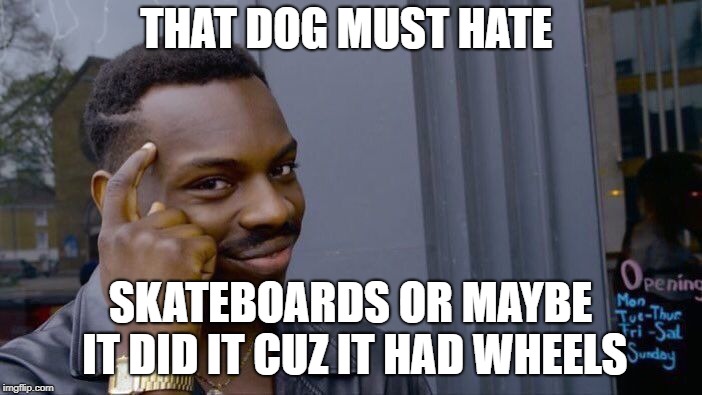 THAT DOG MUST HATE SKATEBOARDS OR MAYBE IT DID IT CUZ IT HAD WHEELS | image tagged in memes,roll safe think about it | made w/ Imgflip meme maker