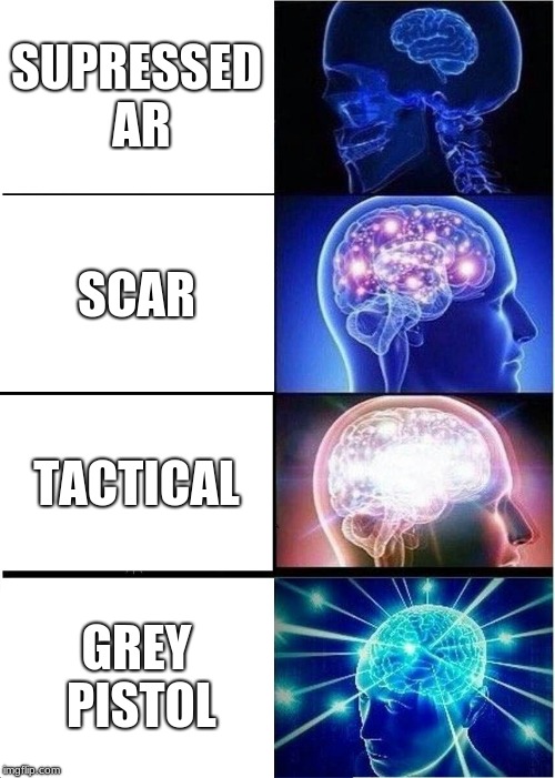 Expanding Brain | SUPRESSED AR; SCAR; TACTICAL; GREY PISTOL | image tagged in memes,expanding brain | made w/ Imgflip meme maker