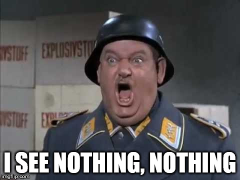 Sgt. Schultz shouting | I SEE NOTHING, NOTHING | image tagged in sgt schultz shouting | made w/ Imgflip meme maker