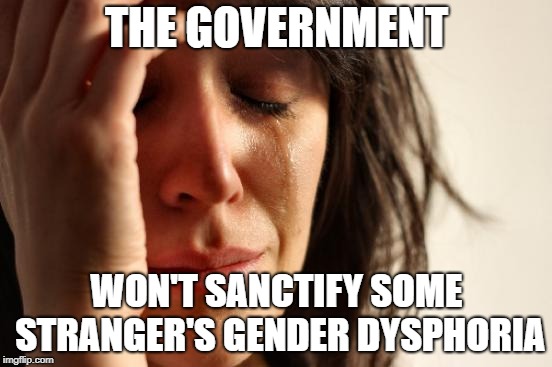 First World Problems | THE GOVERNMENT; WON'T SANCTIFY SOME STRANGER'S GENDER DYSPHORIA | image tagged in memes,first world problems | made w/ Imgflip meme maker