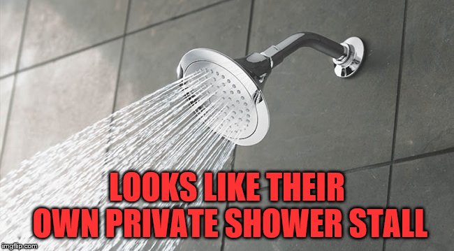 Shower Thoughts | LOOKS LIKE THEIR OWN PRIVATE SHOWER STALL | image tagged in shower thoughts | made w/ Imgflip meme maker
