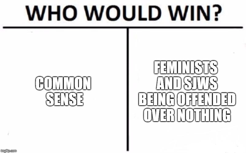 Who Would Win? Meme |  COMMON SENSE; FEMINISTS AND SJWS BEING OFFENDED OVER NOTHING | image tagged in memes,who would win | made w/ Imgflip meme maker