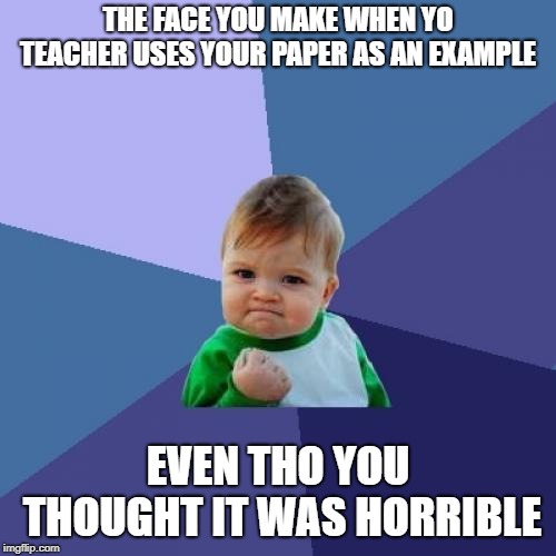 Success Kid Meme | THE FACE YOU MAKE WHEN YO TEACHER USES YOUR PAPER AS AN EXAMPLE; EVEN THO YOU THOUGHT IT WAS HORRIBLE | image tagged in memes,success kid | made w/ Imgflip meme maker