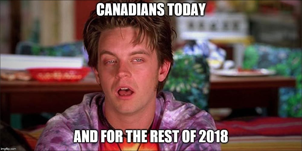 CANADIANS TODAY; AND FOR THE REST OF 2018 | image tagged in stoner,weed | made w/ Imgflip meme maker