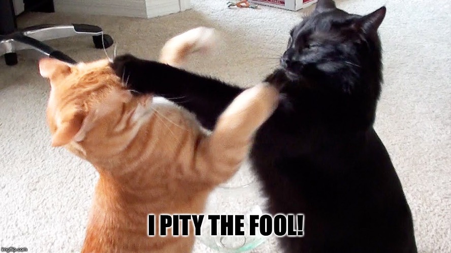 I PITY THE FOOL! | made w/ Imgflip meme maker