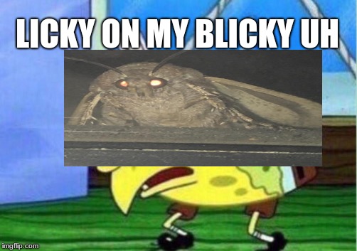 Mocking Spongebob Meme | LICKY ON MY BLICKY UH | image tagged in memes,mocking spongebob | made w/ Imgflip meme maker