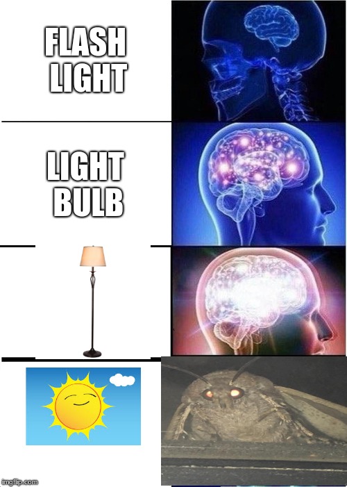 Expanding Brain Meme | FLASH LIGHT; LIGHT BULB | image tagged in memes,expanding brain | made w/ Imgflip meme maker