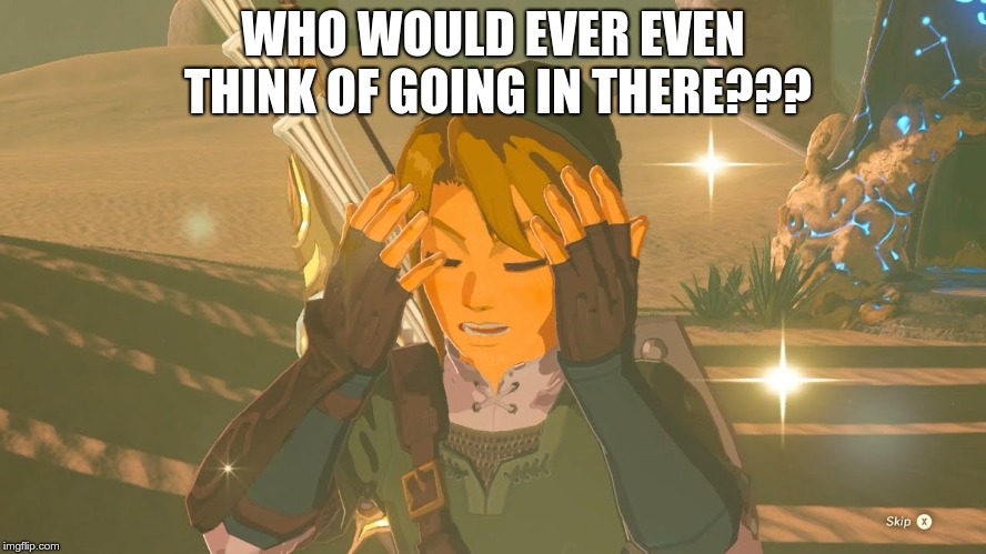 Link WTF | WHO WOULD EVER EVEN THINK OF GOING IN THERE??? | image tagged in link wtf | made w/ Imgflip meme maker