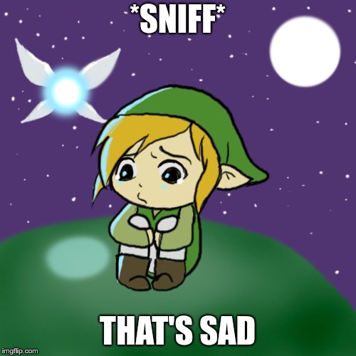 Sad Link | *SNIFF* THAT'S SAD | image tagged in sad link | made w/ Imgflip meme maker