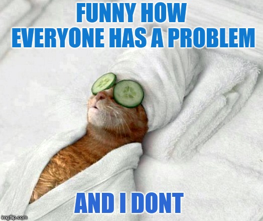 Relaxicat | FUNNY HOW EVERYONE HAS A PROBLEM; AND I DONT | image tagged in relaxicat | made w/ Imgflip meme maker