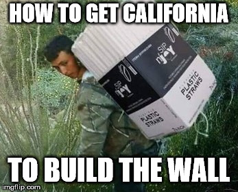 HOW TO GET CALIFORNIA; TO BUILD THE WALL | image tagged in smugling straws | made w/ Imgflip meme maker