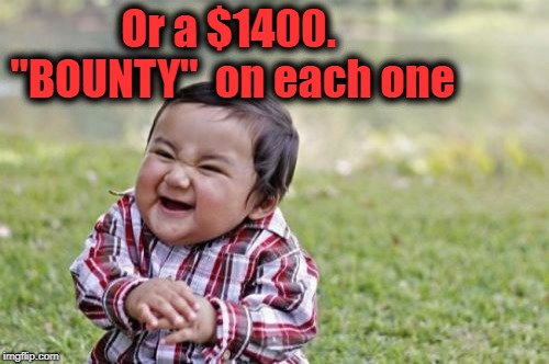 Evil Toddler Meme | Or a $1400. "BOUNTY"  on each one | image tagged in memes,evil toddler | made w/ Imgflip meme maker