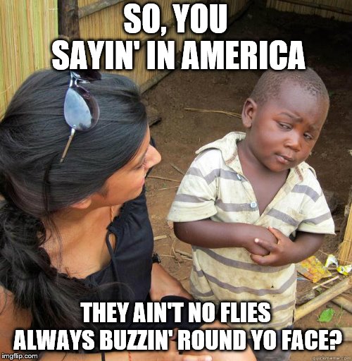 skeptical black boy | SO, YOU SAYIN' IN AMERICA; THEY AIN'T NO FLIES ALWAYS BUZZIN' ROUND YO FACE? | image tagged in skeptical black boy | made w/ Imgflip meme maker