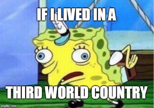 Mocking Spongebob | IF I LIVED IN A; THIRD WORLD COUNTRY | image tagged in memes,mocking spongebob | made w/ Imgflip meme maker