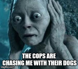 Scared Gollum | THE COPS ARE CHASING ME WITH THEIR DOGS | image tagged in scared gollum | made w/ Imgflip meme maker