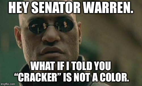 Senator Warren is an Indian Cracker | HEY SENATOR WARREN. WHAT IF I TOLD YOU “CRACKER” IS NOT A COLOR. | image tagged in memes,matrix morpheus,warren,indian,white privilege,race | made w/ Imgflip meme maker
