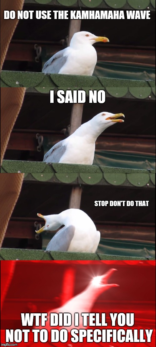 Inhaling Seagull Meme | DO NOT USE THE KAMHAMAHA WAVE; I SAID NO; STOP DON'T DO THAT; WTF DID I TELL YOU NOT TO DO SPECIFICALLY | image tagged in memes,inhaling seagull | made w/ Imgflip meme maker