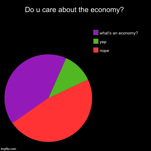 Do u care about the economy? | nope, yep, what’s an economy? | image tagged in funny,pie charts | made w/ Imgflip chart maker