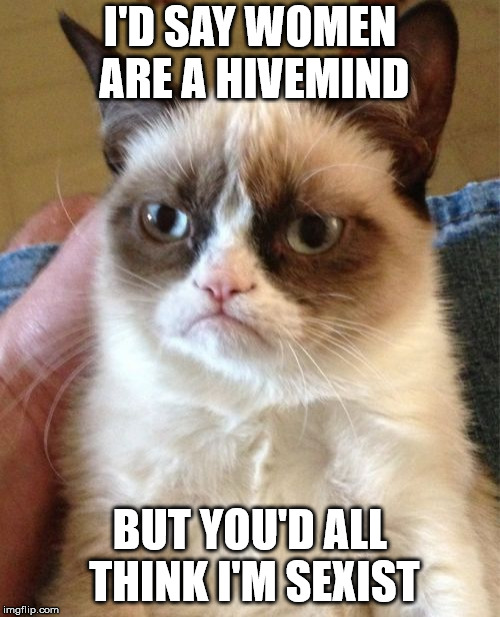 Hiveminded Individuals | I'D SAY WOMEN ARE A HIVEMIND; BUT YOU'D ALL THINK I'M SEXIST | image tagged in memes,grumpy cat | made w/ Imgflip meme maker