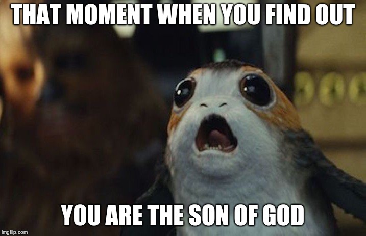 Star Wars Porg | THAT MOMENT WHEN YOU FIND OUT; YOU ARE THE SON OF GOD | image tagged in star wars porg | made w/ Imgflip meme maker