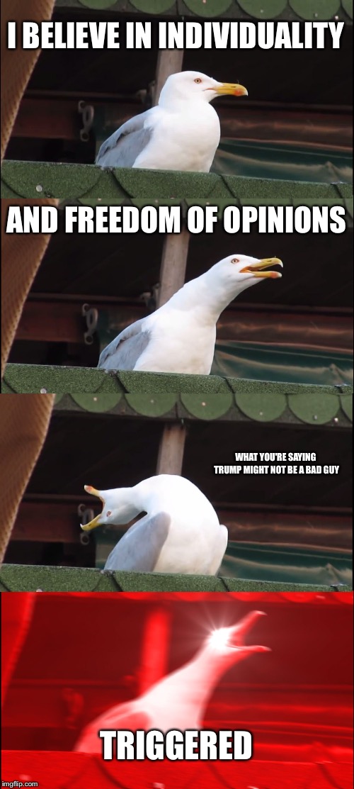 Inhaling Seagull | I BELIEVE IN INDIVIDUALITY; AND FREEDOM OF OPINIONS; WHAT YOU'RE SAYING TRUMP MIGHT NOT BE A BAD GUY; TRIGGERED | image tagged in memes,inhaling seagull | made w/ Imgflip meme maker