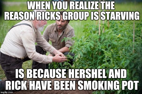 Walking Dead garden | WHEN YOU REALIZE THE REASON RICKS GROUP IS STARVING; IS BECAUSE HERSHEL AND RICK HAVE BEEN SMOKING POT | image tagged in walking dead garden | made w/ Imgflip meme maker