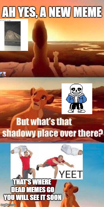 Simba Shadowy Place | AH YES, A NEW MEME; THAT'S WHERE DEAD MEMES GO YOU WILL SEE IT SOON | image tagged in memes,simba shadowy place | made w/ Imgflip meme maker