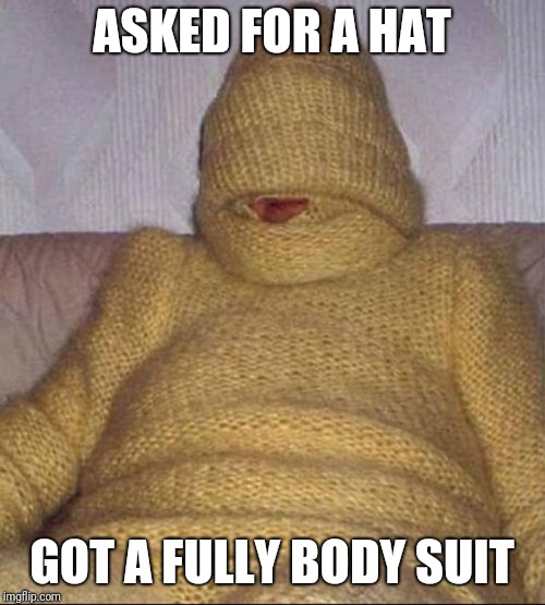 Asked for a hat... | ASKED FOR A HAT; GOT A FULLY BODY SUIT | image tagged in funny | made w/ Imgflip meme maker