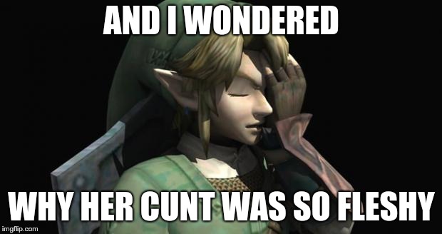 Link Facepalm | AND I WONDERED WHY HER C**T WAS SO FLESHY | image tagged in link facepalm | made w/ Imgflip meme maker