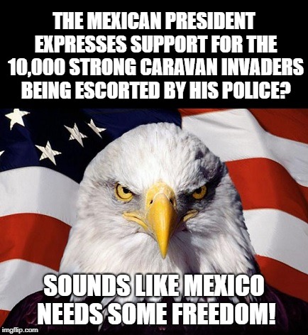 Mexico Needs Some Freedom | THE MEXICAN PRESIDENT EXPRESSES SUPPORT FOR THE 10,000 STRONG CARAVAN INVADERS BEING ESCORTED BY HIS POLICE? SOUNDS LIKE MEXICO NEEDS SOME FREEDOM! | image tagged in illegal immigration,mexico,invasion,united states,national security,militia | made w/ Imgflip meme maker