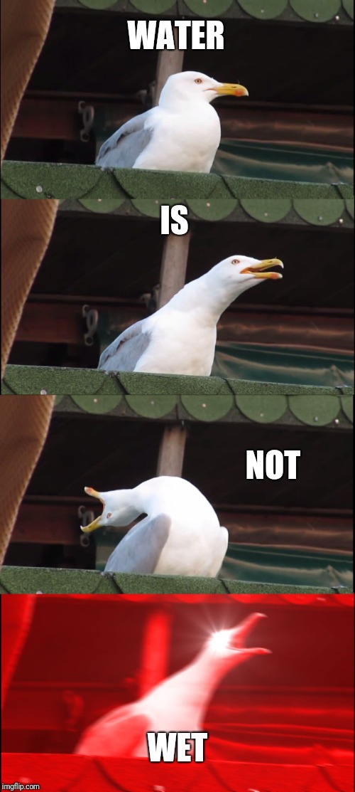 Inhaling Seagull | WATER; IS; NOT; WET | image tagged in memes,inhaling seagull | made w/ Imgflip meme maker