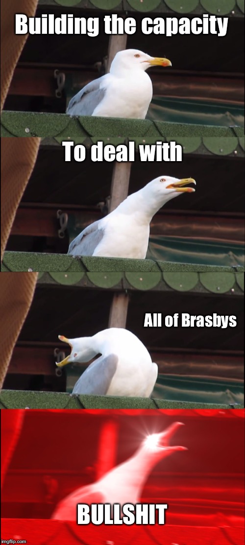 Inhaling Seagull Meme | Building the capacity; To deal with; All of Brasbys; BULLSHIT | image tagged in memes,inhaling seagull | made w/ Imgflip meme maker