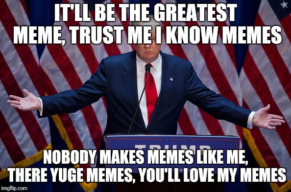Donald Trump | IT'LL BE THE GREATEST MEME, TRUST ME I KNOW MEMES NOBODY MAKES MEMES LIKE ME, THERE YUGE MEMES, YOU'LL LOVE MY MEMES | image tagged in donald trump | made w/ Imgflip meme maker