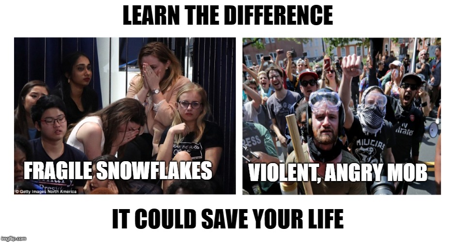 LEARN THE DIFFERENCE IT COULD SAVE YOUR LIFE FRAGILE SNOWFLAKES VIOLENT, ANGRY MOB | made w/ Imgflip meme maker